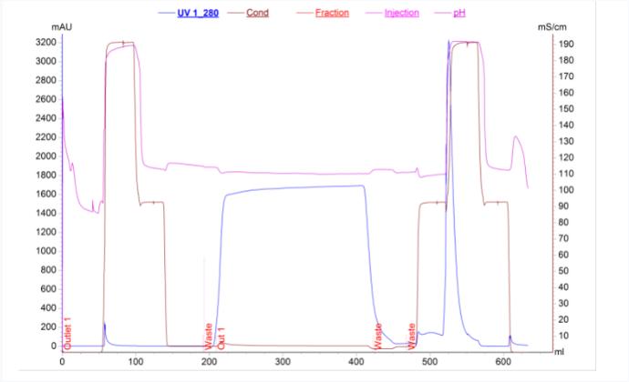 biolink-3.jpg