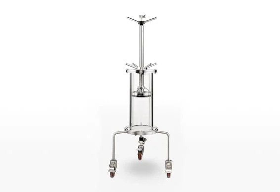 cation ion exchange chromatography