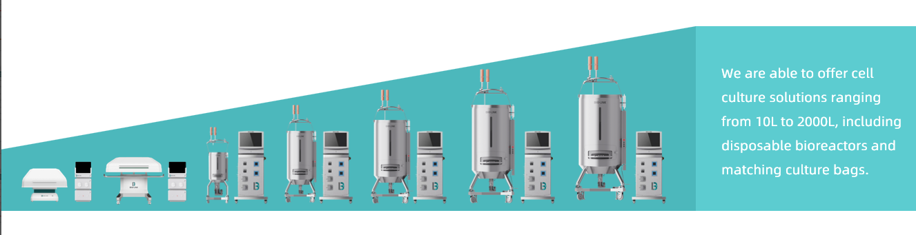 Monoclonal Antibody Purification By Affinity Chromatography