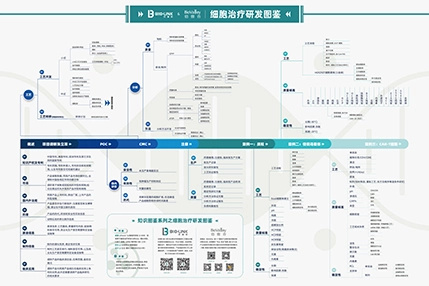 BioLink and BioValley Jointly Launch the ''Cell Therapy R&D Illustrated Handbook''