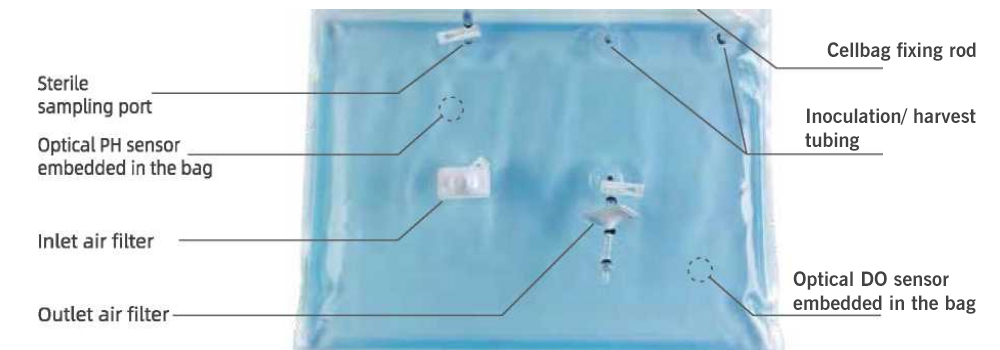 Wave Bag Cell Culture