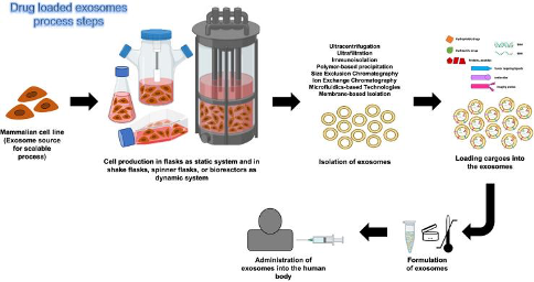 exosome downstream process solutions 2