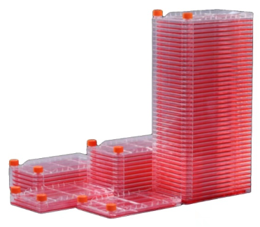biohub series of single use cell culture consumables 5