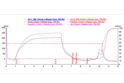 Optimization Strategy for Downstream Process of Lentivirus