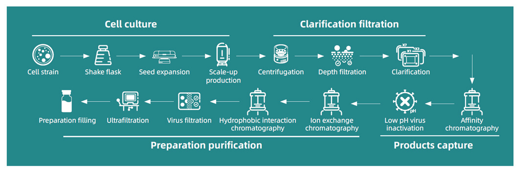 Extractables & Leachables: What's the Difference? How to Deal with It?