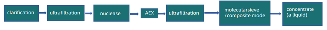 Optimization Strategy for Downstream Process of Lentivirus