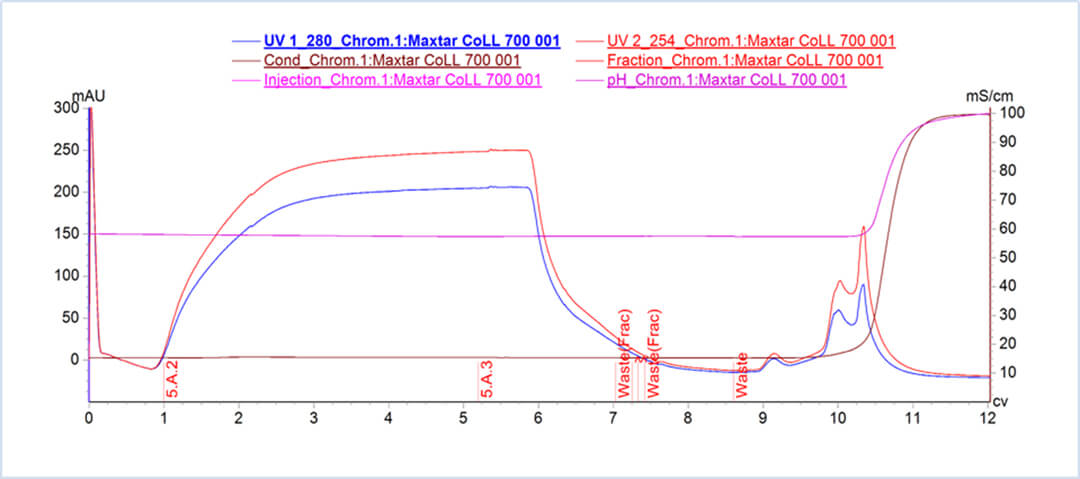 Optimization Strategy for Downstream Process of Lentivirus