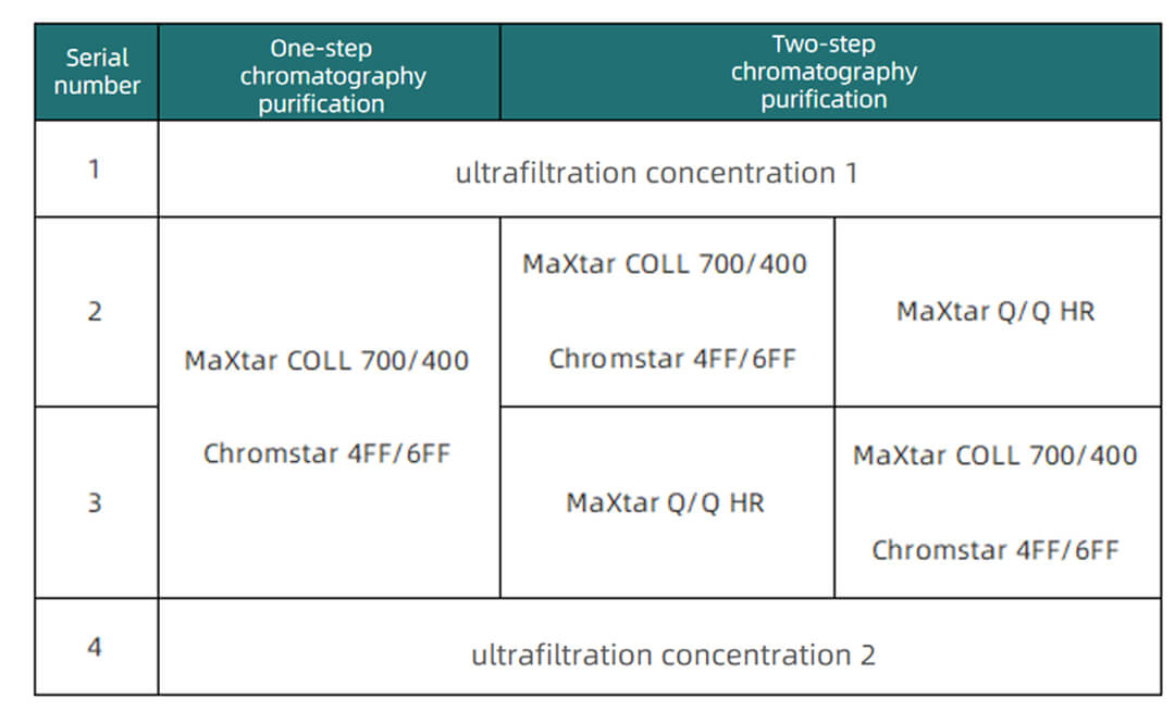 Optimization Strategy for Downstream Process of Lentivirus