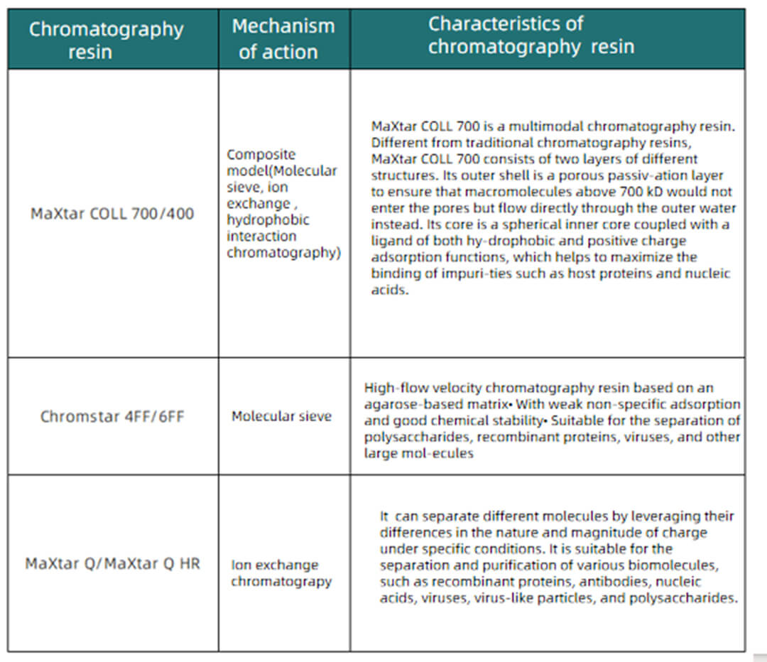 Optimization Strategy for Downstream Process of Lentivirus