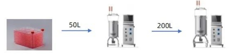 Application_of_Single-use_Bioreactors_in_Viral_Vaccine_Production_Based_on_Microcarrier_Culture_02.png