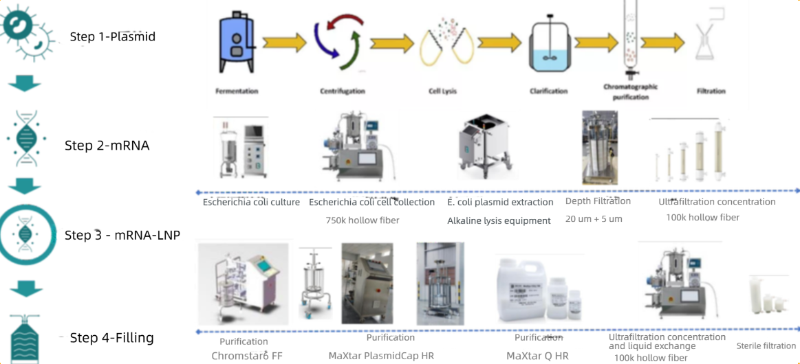 Research_Directions_and_Process_Support_for_the_Development_of_Novel_Veterinary_Vaccines_06.png