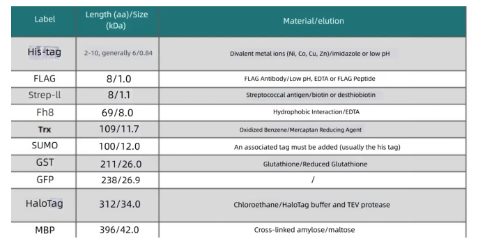 Strategies_for_Construction_of_Recombinant_Escherichia_coli_Expression_Vectors_and_Optimization_of_Cultivation_Conditions1.png