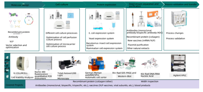 Strategies_for_Construction_of_Recombinant_Escherichia_coli_Expression_Vectors_and_Optimization_of_Cultivation_Conditions5.png