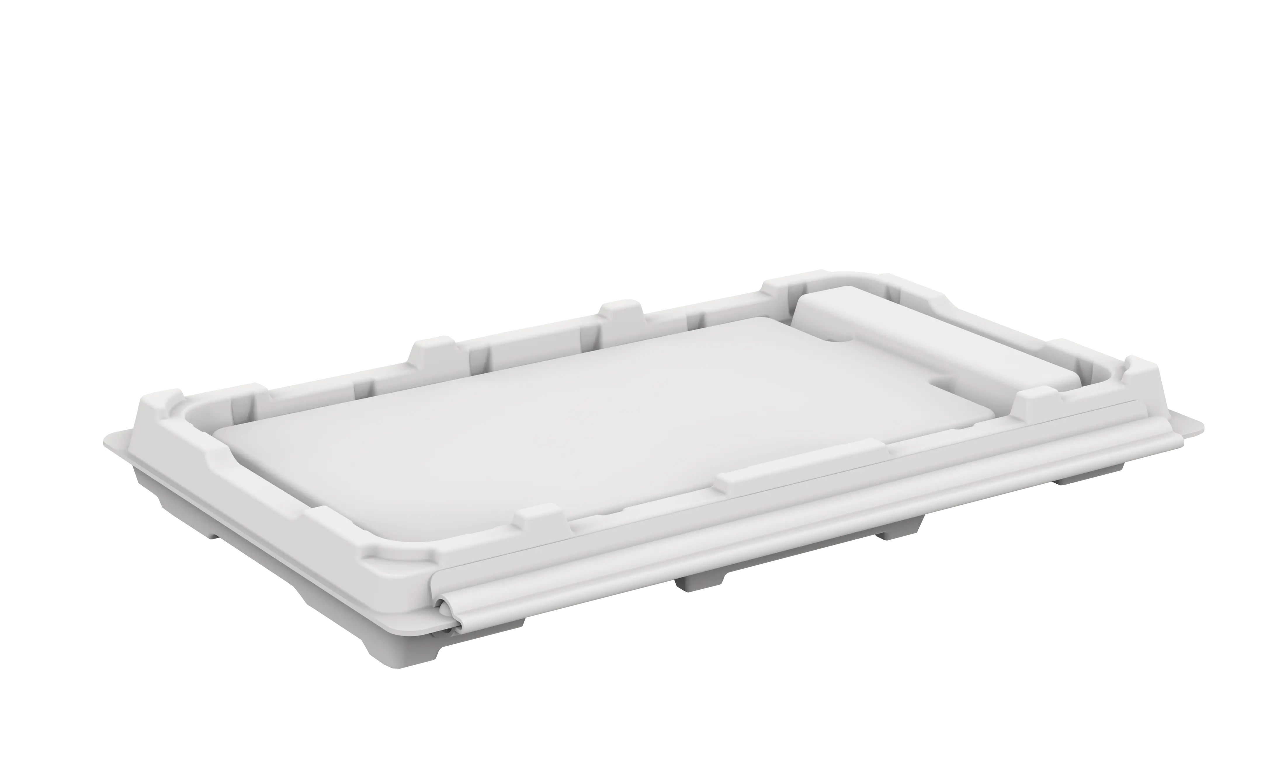 Plastic Freeze-thaw Box