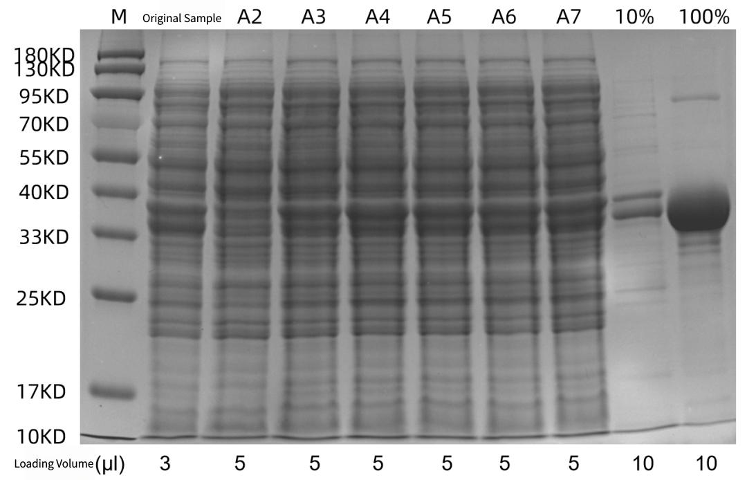 figures-2-ni-resin-chromatogram-and-gel-diagram.jpg figures-2-ni-resin-chromatogram-and-gel-diagram.jpg