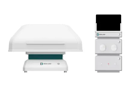 Lactate Metabolism in Cell Culture