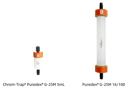 Say Goodbye to Choice Phobia! Puredex® G-25M Desalting Column Selection Guide: 5mL and 20mL Are No-brainers