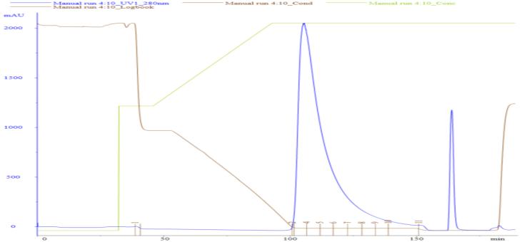 figure-2-chromatograms-and-quality-data-of-a-bispecific-antibody-on-maxtar-phenyl-hr.jpg figure-2-chromatograms-and-quality-data-of-a-bispecific-antibody-on-maxtar-phenyl-hr.jpg
