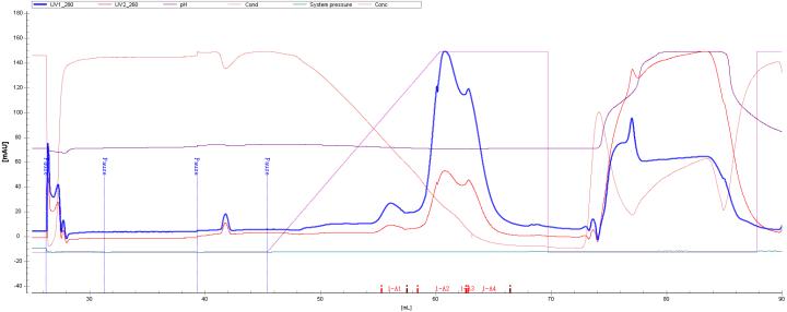 figure-4-chromatographic-profile-and-quality-data-of-a-bispecific-antibody-using-maxtar-phenyl-hr.jpg