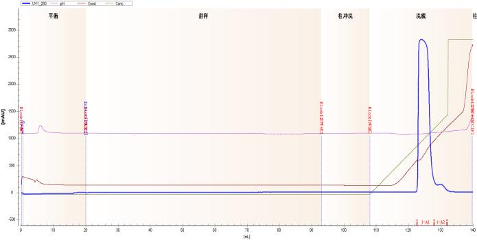 figure-5-chromatographic-profile-and-quality-data-of-a-bispecific-antibody-using-maxtar-sp-hr.jpg figure-5-chromatographic-profile-and-quality-data-of-a-bispecific-antibody-using-maxtar-sp-hr.jpg