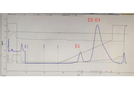 IgM Antibody Purification Pathway